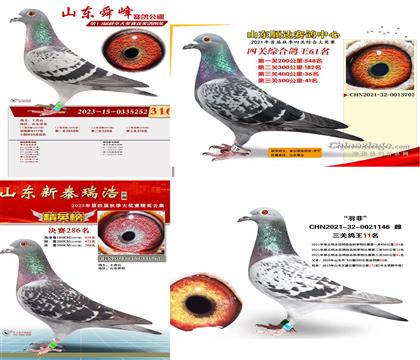 獲獎(jiǎng)孫代