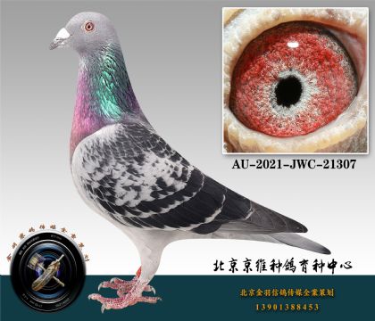 279-AU-2021-JWC-21307