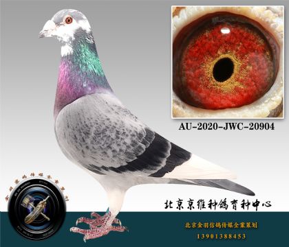 282-AU-2020-JWC-20904