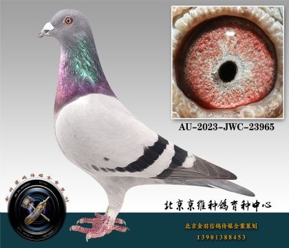 283-AU-2023-JWC-23965