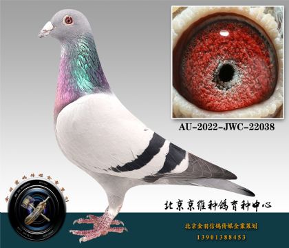 284-AU-2022-JWC-22038