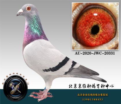 285-AU-2020-JWC-20331