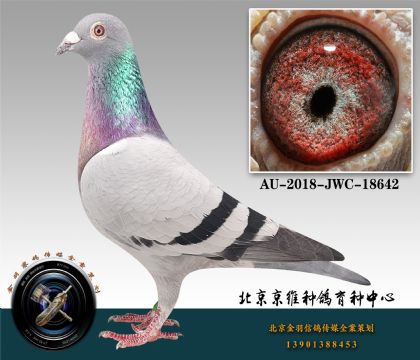 286-AU-2018-JWC-18642