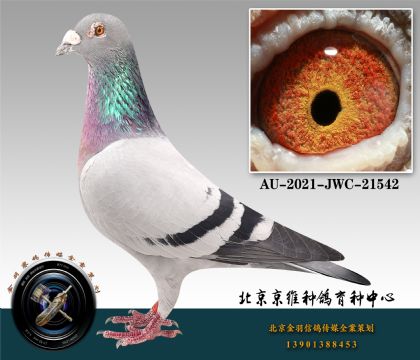 289-AU-2021-JWC-21542