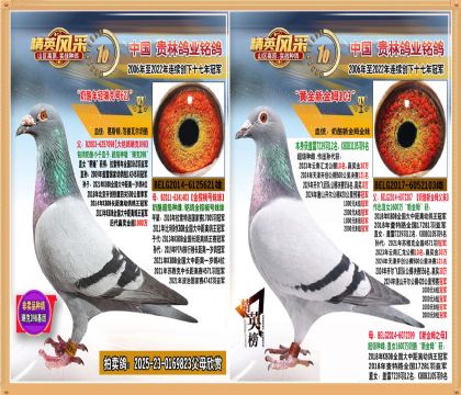 1600f(wn)½ķȫ098ֱ.ƽ݅_(ki)܊