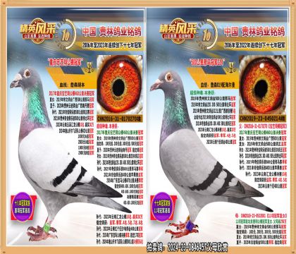 ؑcˇ蹫܊ֱŮ.ƽ݅@500܊.܊