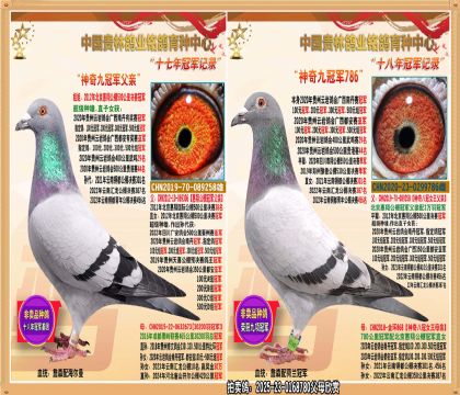 Ź܊HֱŮ.ƽ݅@200.300.500ԪMͨڹ܊