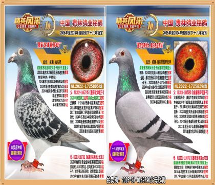 īƶֱOīƶɌOŮ.3586܊ֱŮ