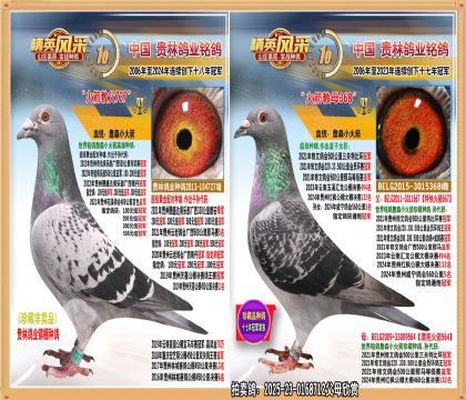 S䌦(du)ֱŮ.ȫë@500܊.t138