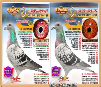 W2375܊ֱ.W003OXW003OŮHN