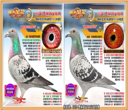 W2375܊ֱ.W003OXW003OŮHN