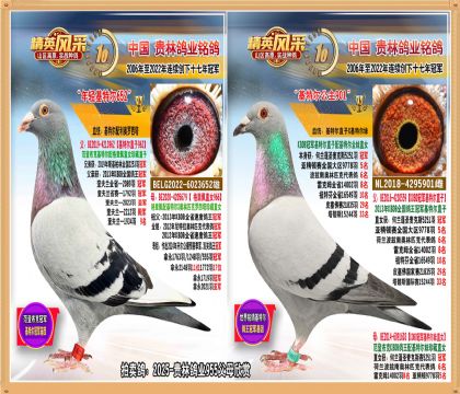 5251܊ֱ.ؠֱOؠOŮH