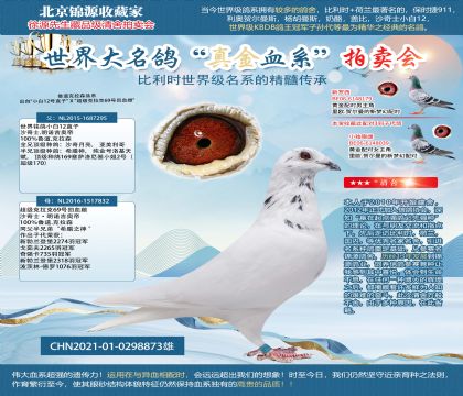 小白12魯?shù)揽死?1-0298873雄