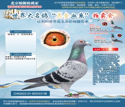 利奧楊23-0035551雄