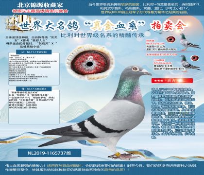 彼得.文斯特拉原舍-“美好使者”X“歐佛萊格小姐直女436”