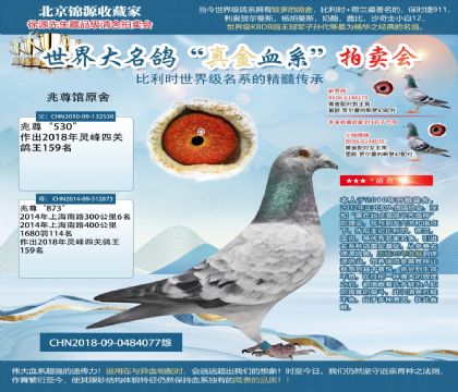 兆尊館蒼白“夜?fàn)q”