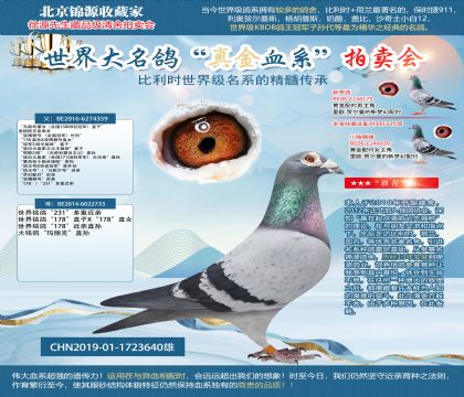 無(wú)敵利蒙治直孫19-1723640雄