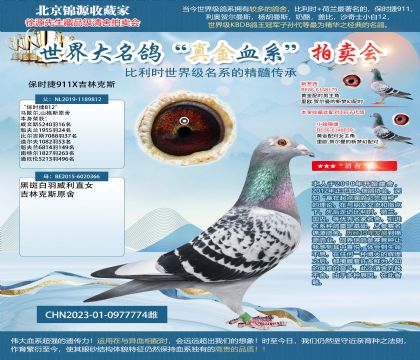 保時(shí)捷911X吉林克斯23-0977774雌