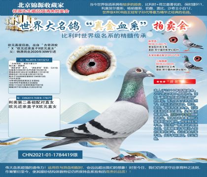 “ 古奇渦輪 ”X“歐元近親直子X(jué)歐元直女”