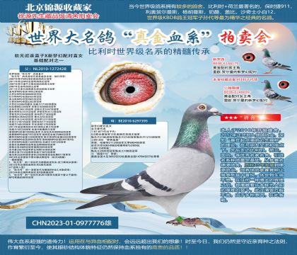 歐元近親直子X(jué)新夢(mèng)幻配對(duì)直女23-0977776雄