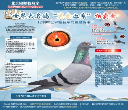 吉瓦特-蘭努原舍-“新霸龍”X“特維基”