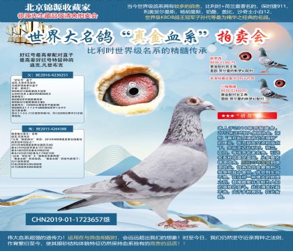 好紅號(hào)19-1723657雄