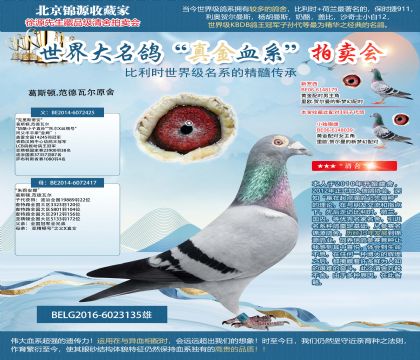 奶酪原舍-”克里斯蒂安”X”朱莉安娜”