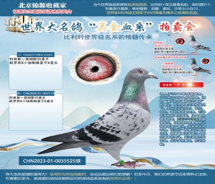 利奧第一基礎(chǔ)配對(duì)雙重回血23-0035525雄