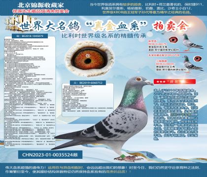 基特爾006全兄弟X最佳基特爾全妹23-0035524雌