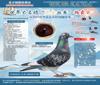 利奧X奧林匹克基特爾006直女23-0090957雄