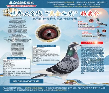 迪克.范登布克原舍“奧林匹克基特爾006直女”