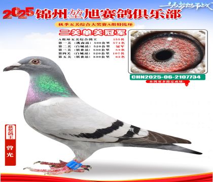 錦州堃旭A組第二關(guān)冠軍