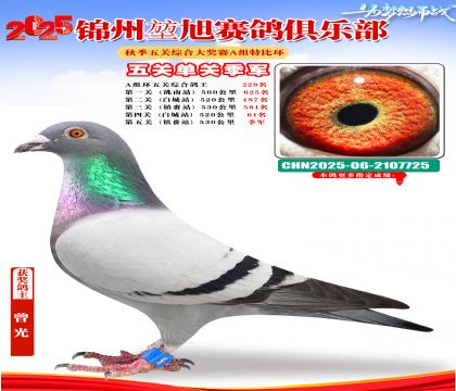 錦州堃旭A組第五關(guān)季軍