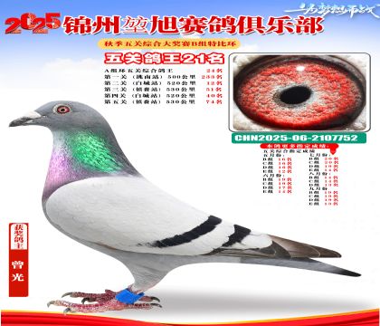 錦州堃旭B組五關(guān)鴿王21名