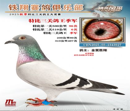 鐵翔特比三關(guān)鴿王3名