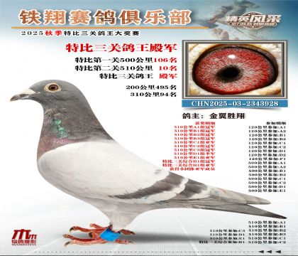 鐵翔特比三關(guān)鴿王4名