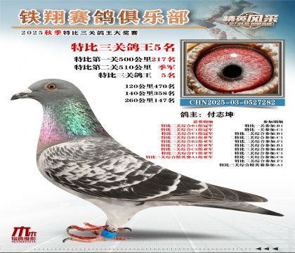 鐵翔特比三關(guān)鴿王5名