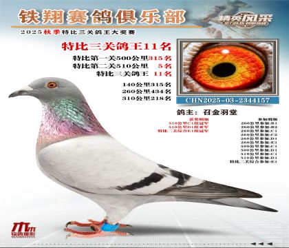鐵翔特比三關(guān)鴿王11名