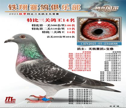 鐵翔特比三關(guān)鴿王14名