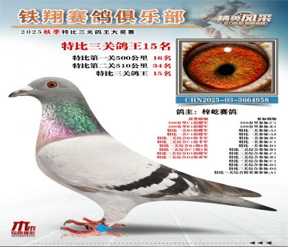 鐵翔特比三關(guān)鴿王15名