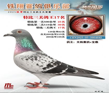 鐵翔特比三關(guān)鴿王17名