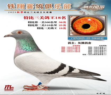 鐵翔特比三關(guān)鴿王18名