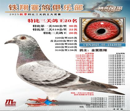 鐵翔特比三關(guān)鴿王20名