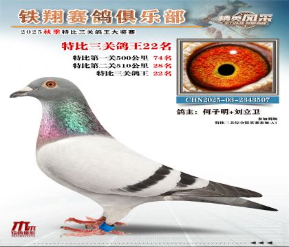 鐵翔特比三關(guān)鴿王22名