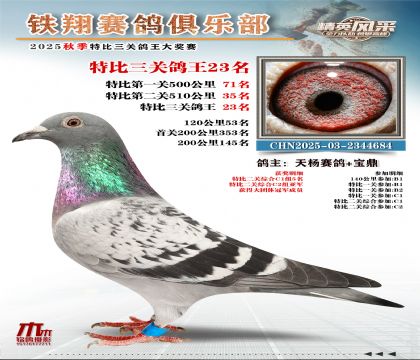 鐵翔特比三關(guān)鴿王23名