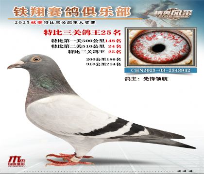 鐵翔特比三關(guān)鴿王25名