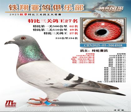 鐵翔特比三關(guān)鴿王27名