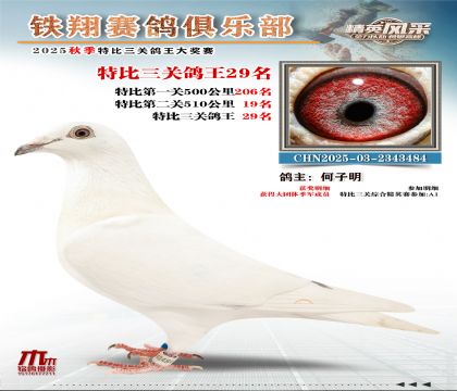 鐵翔特比三關(guān)鴿王29名