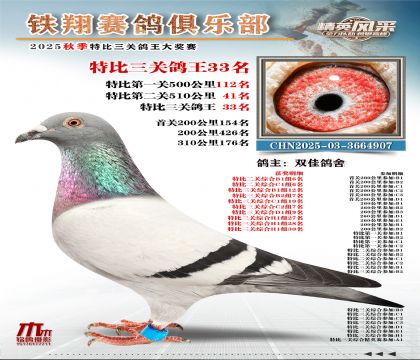 鐵翔特比三關(guān)鴿王33名