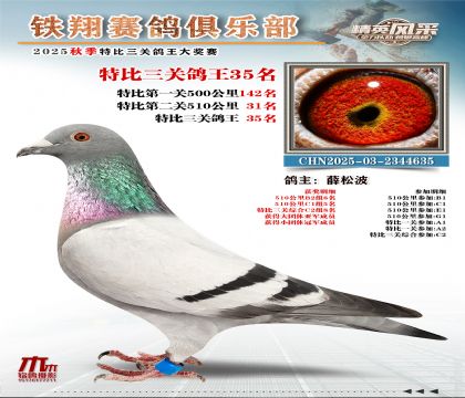 鐵翔特比三關(guān)鴿王35名